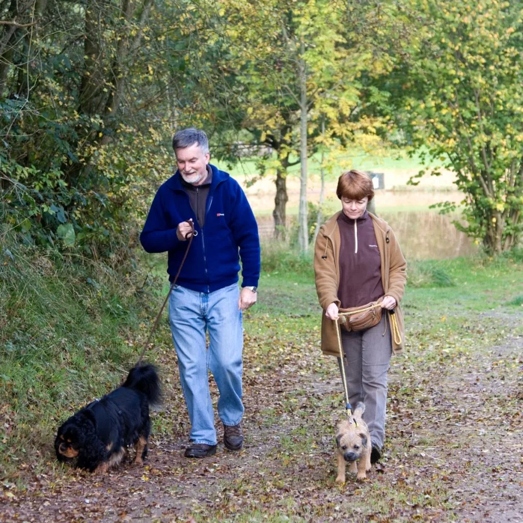 dog-friendly-caravan-site-1-1024x1024.jpg