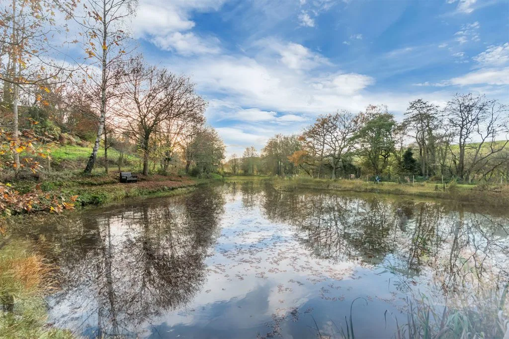 Fairview Lake top