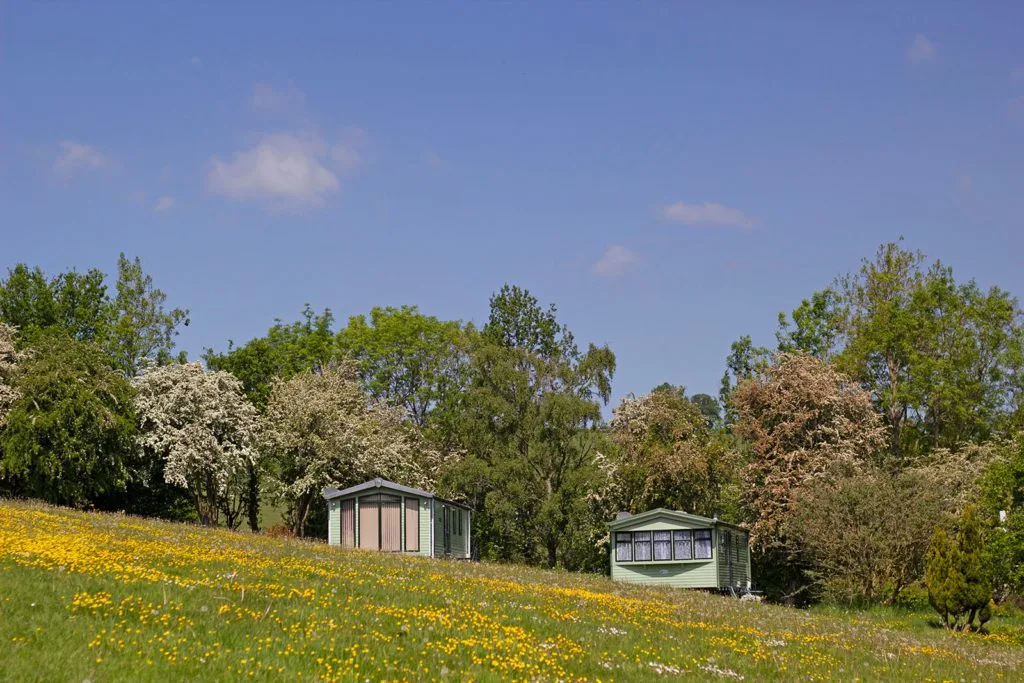 Fairview_066 top